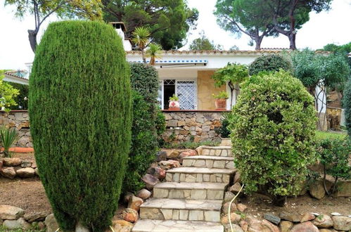 Photo 24 - 107526 - House in Cala Canyelles