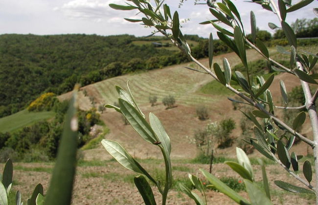 Casa Guaitoli - Photo 27