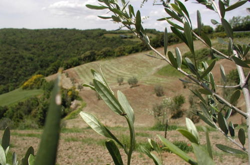 Photo 27 - Casa Guaitoli