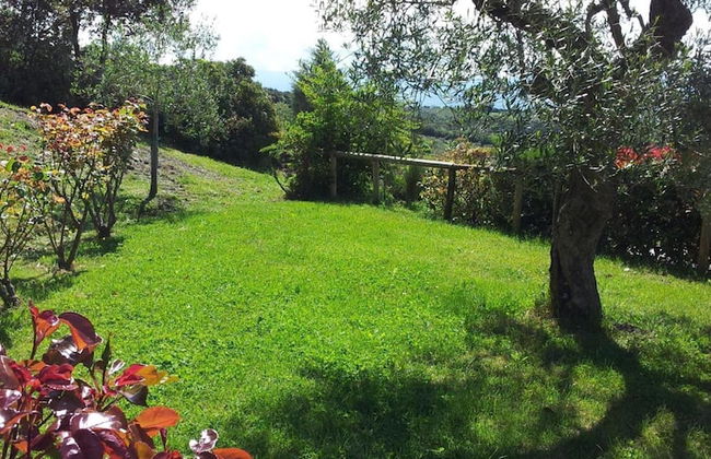 Casa Guaitoli - Photo 28