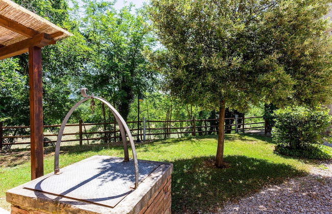 Tuscan Countryside Stay - Foto 24