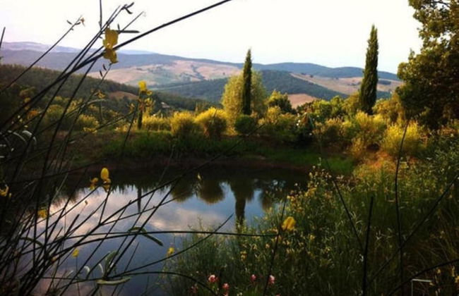 Tuscan Countryside Stay - Foto 36
