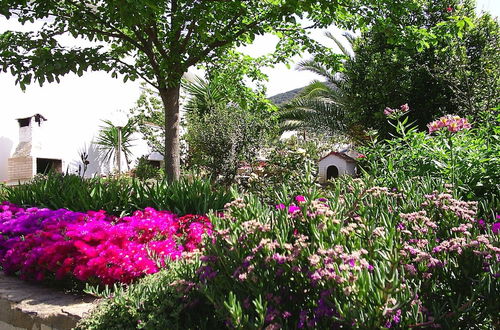 Photo 12 - House in the Southernmost Point of the Island, Completely Fenced Super Price