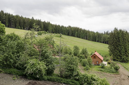 Photo 36 - Holiday Home in Liebenfels in Carinthia