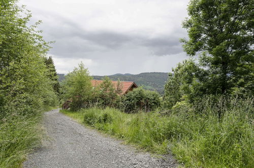 Photo 31 - Holiday Home in Liebenfels in Carinthia