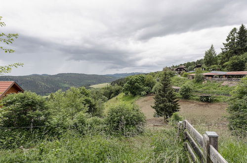 Photo 36 - Holiday Home in Liebenfels in Carinthia-formerly TUI Ferienhaus