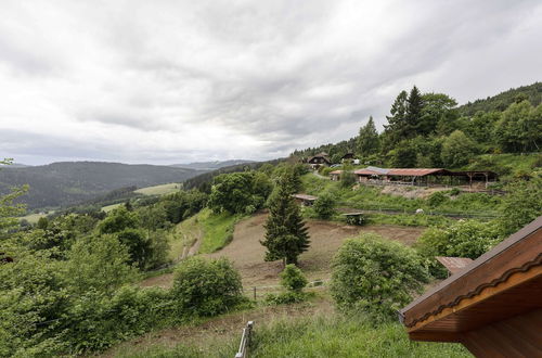 Photo 35 - Holiday Home in Liebenfels in Carinthia