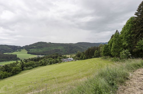 Photo 29 - Holiday Home in Liebenfels in Carinthia