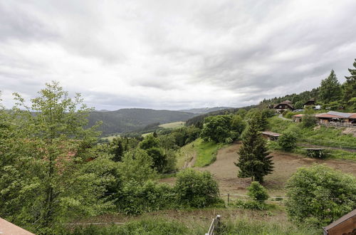 Photo 34 - Holiday Home in Liebenfels in Carinthia