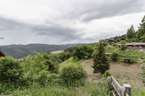 Photo 38 - Holiday Home in Liebenfels in Carinthia