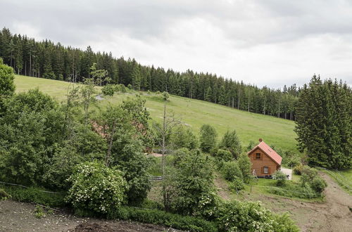 Photo 29 - Holiday Home in Liebenfels in Carinthia