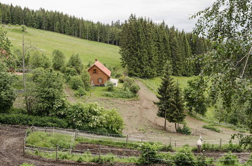 Foto 32 - Holiday Home in Liebenfels in Carinthia