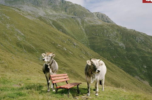 Photo 40 - Stellar Holiday Home in Kirchdorf in Tyrol near Ski Area