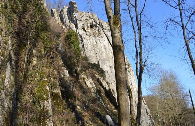 Completely Renovated House near Durbuy - Foto 40