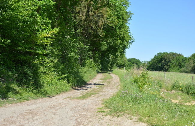 Peaceful Forest Stay in Gesves - Foto 30
