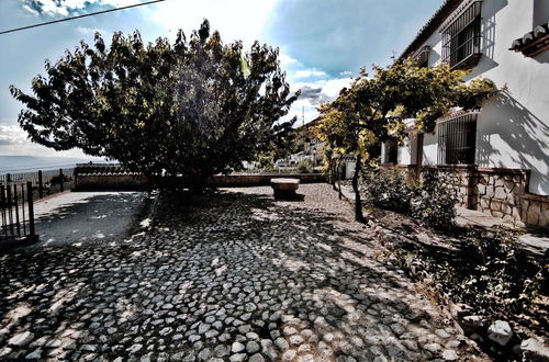 Photo 37 - Casa Almendros