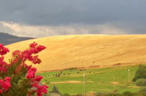 Photo 22 - Hopyard View Farm - A Farm Experience in Ashland