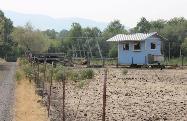 Hopyard View Farm - A Farm Experience in Ashland - Foto 18