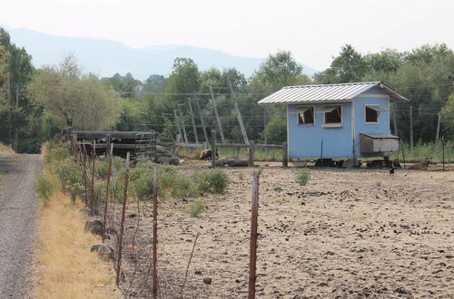 Photo 18 - Hopyard View Farm - A Farm Experience in Ashland