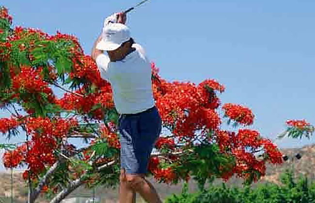 Raintree's Cimarron Golf Resort - Foto 28