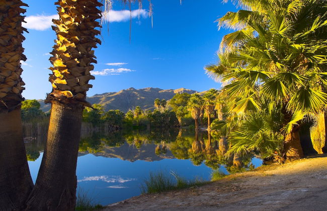 Raintree's Cimarron Golf Resort - Foto 40