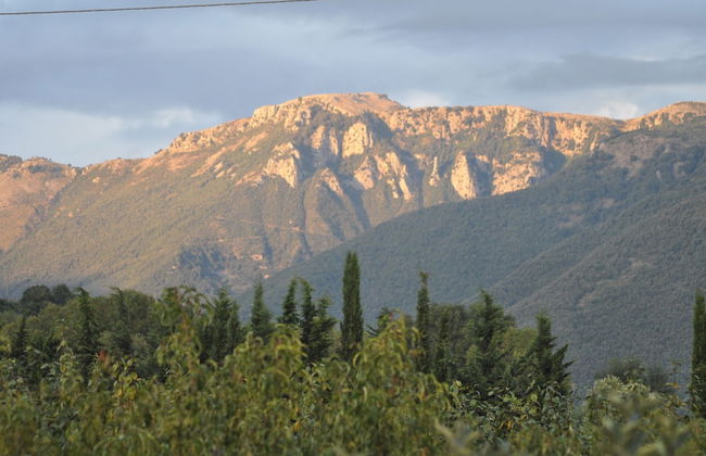 I Cedri - Photo 50