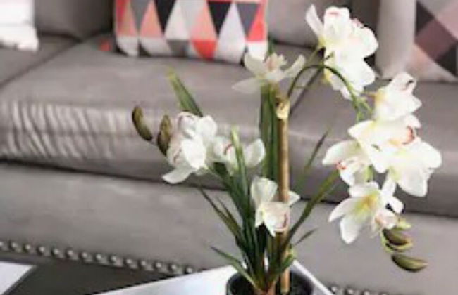 2 Bedroom Apartment near OU - Foto 15