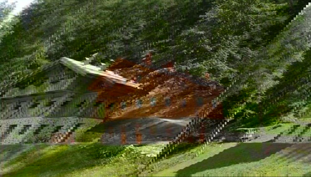Imagem principal