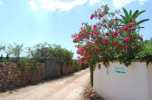 Photo 34 - Terra di Leuca