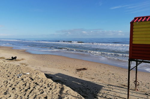 Photo 11 - Brittas Bay Park