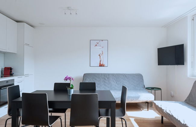 Hitrental Basel Apartments - Foto 8
