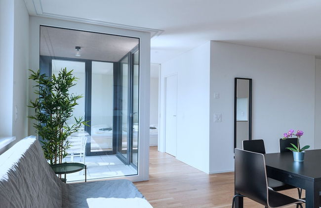 Hitrental Basel Apartments - Foto 12