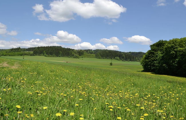 Authentic Holiday Home with Garden near Trutnov - Foto 36