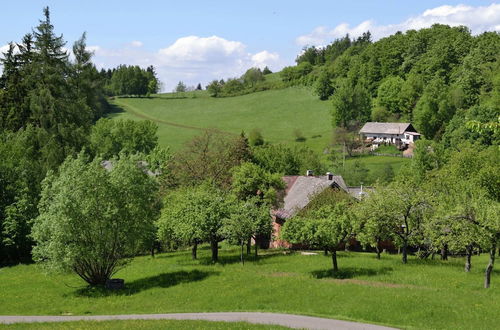 Photo 38 - Authentic Holiday Home with Garden near Trutnov