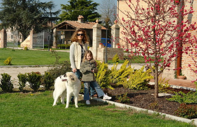 Lama di Valle Rosa - Foto 57