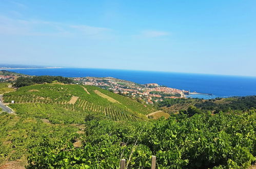 Photo 31 - Village Vacances Azureva Argelès-sur-Mer