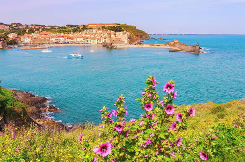 Photo 32 - Village Vacances Azureva Argelès-sur-Mer