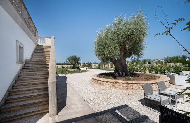 WePuglia - TERRATERRA - Masseria Minunni - Photo 53