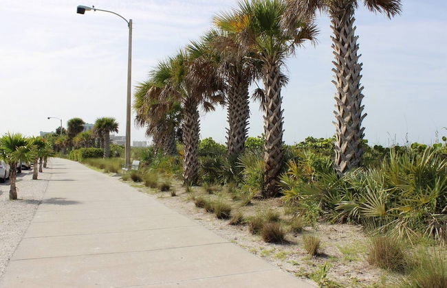 Pelican Gardens Studio 3 on Lido Key - Foto 30