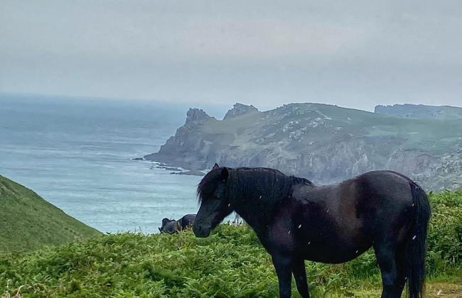 Cowshed Cottage Located nr Kynance Cove - Foto 24