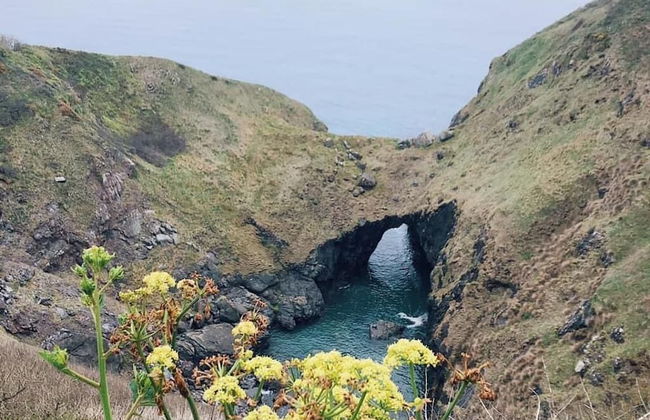 Cowshed Cottage Located nr Kynance Cove - Foto 13