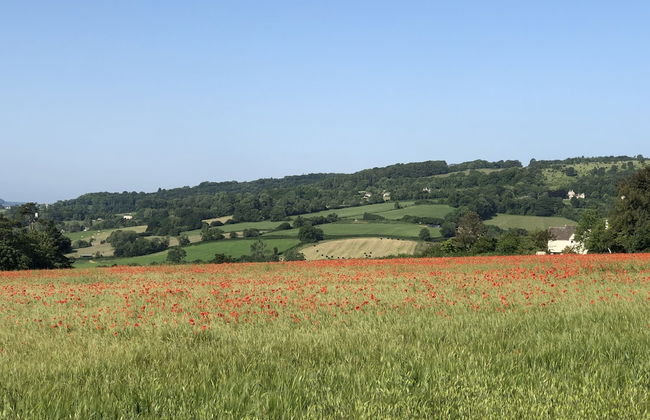 Cotswold Lodge - Foto 34