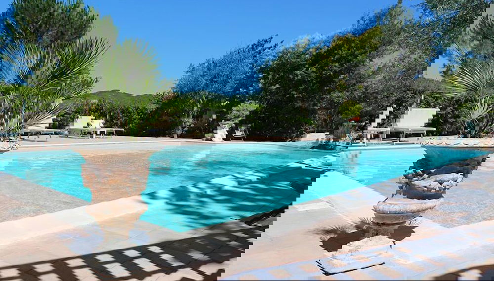 Imagem principal
