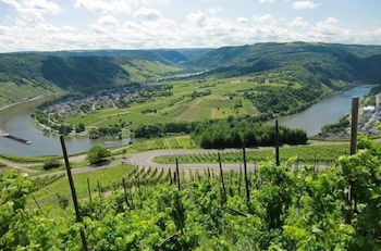 Photo 25 - Spacious Holiday Home in Briedel Near River Mosel