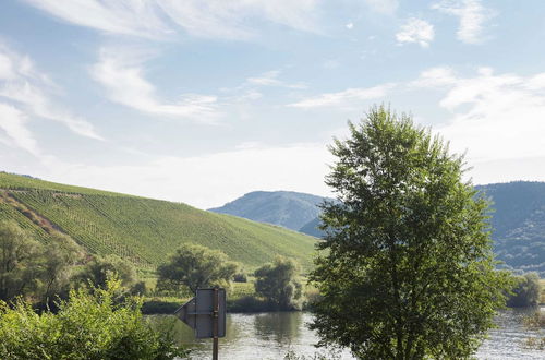 Photo 32 - Spacious Holiday Home in Briedel Near River Mosel