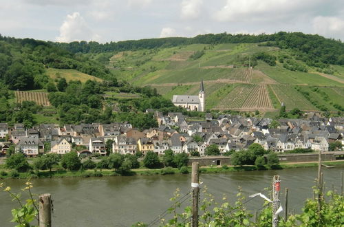 Photo 27 - Spacious Holiday Home in Briedel Near River Mosel