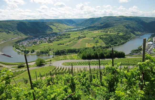 Spacious Holiday Home in Briedel Near River Mosel - Photo 26