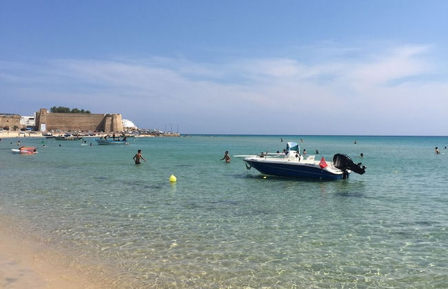Dar Miramar - Foto 38