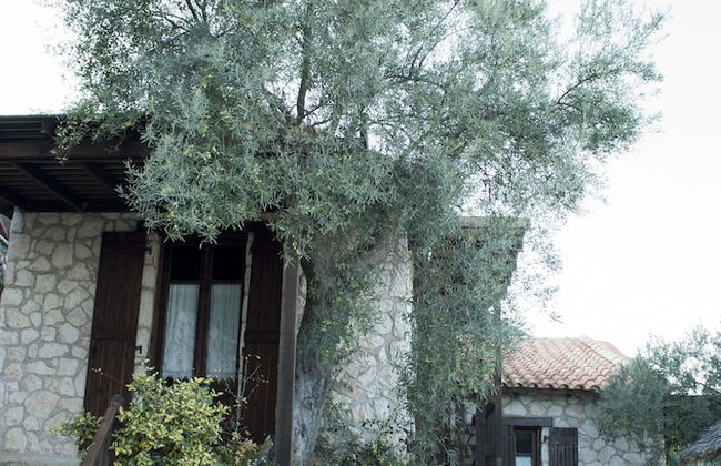 Arethousa Villas - Foto 72