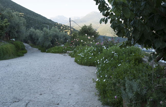 Arethousa Villas - Foto 67